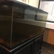 Poor Fish