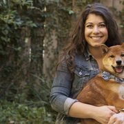 Sabrina and Yuka, the real estate Shiba Inu!