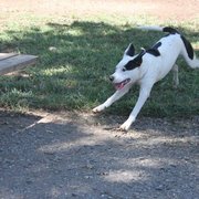 Action shot!