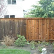 Look at that mold and mildew eating away at this fence!