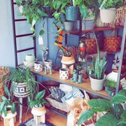 Green Thumb Decor.