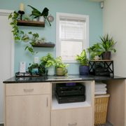 Gallery image #7