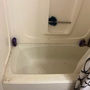 Moving in to a moldy bathtub.
