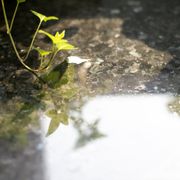 Gallery image #9