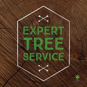 expert tree service