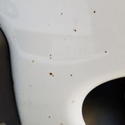 My current bug collection they preserved