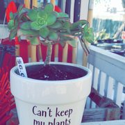 Can't Keep my plants to myself.