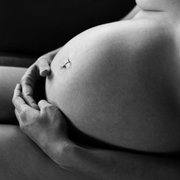 Gallery image #0