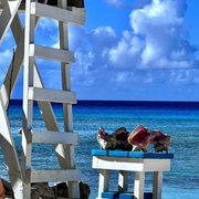 Caribbean views
