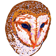 Digital Owl Painting