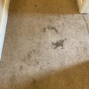 Destroyed hallway carpet