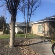 Trees trimmed back! Walkway clear!