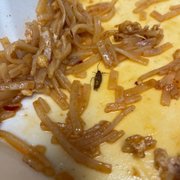 Found a cockroach at the bottom of my pad Thai after almost finishing the whole plate. So disgusting.