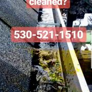 Rain Gutter Cleaning