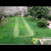 This is what we shoot for with a finish product. This job had lots of extra effort put out to save the landscaping. In a short time, it wil