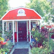 Nursery Shed
