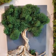 Gallery image #7