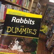 Rabbits...including the one in the back