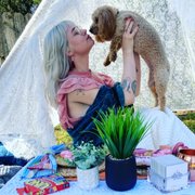 Pup picnics available!