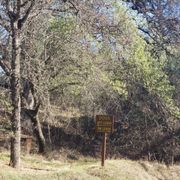 Separate trails for on and off-leash dogs