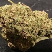 Medical Marijuana Delivery