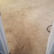 Pretty grungy looking carpet huh?
