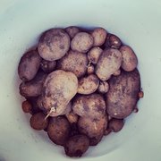 Organic goodness