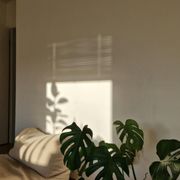 Experience the serenity of a clean home--where peace and order meet.