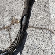 electrical diagnosis