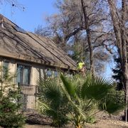 Chico, Ca.
