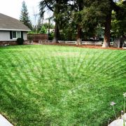 a freshly mowed lawn