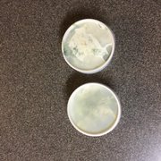 My "to go" salad that came with my meal. I didn't expect an elaborate salad... but this was pretty sad.