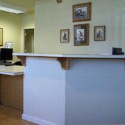 Gallery image #4