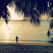 Hawaii is calling your name! Cruises, Hotels, Land Packages - we do it all. Expedia Cruises of Chico