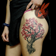 Work by Jackie Rabbit