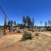 Front lot clean up