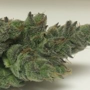 Pineapple Express