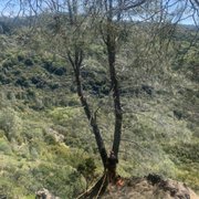 Forest Ranch, California