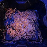Hashbrowns