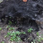 This is a backyard she needed a garden put in and we're in the process that