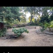 Gallery image #5