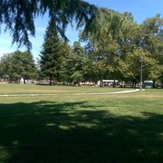 Afternoon at the park.