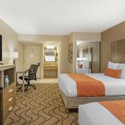 2 Bed Room