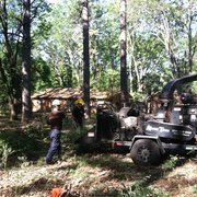 Cutting and chipping property in paradise