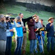 Snow Goose Festival, Eagle Creek Ranch, Sutter Buttes,  Butte Creek Canyon, and wild mushroom forays
