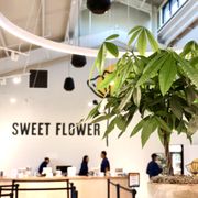 Bright and modern store  in Meriam Park
