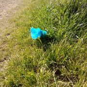 One more bag of dog poop for the magic pooper picker upper. Great job.