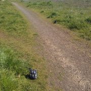 Nice if all the entitled people to leave their dog poop bags for the magic ranger pooper picker upper...