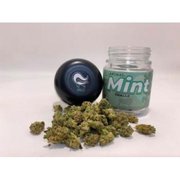 Cannabis flower Hybrid  KUSH BOYS - ANIMAL MINTS SMALLS QUARTERS, 28.92% THC