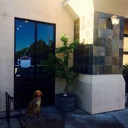 Dog parking out front